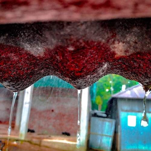 Photo #6248149