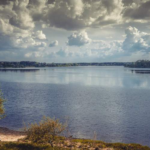 Photo #6248399