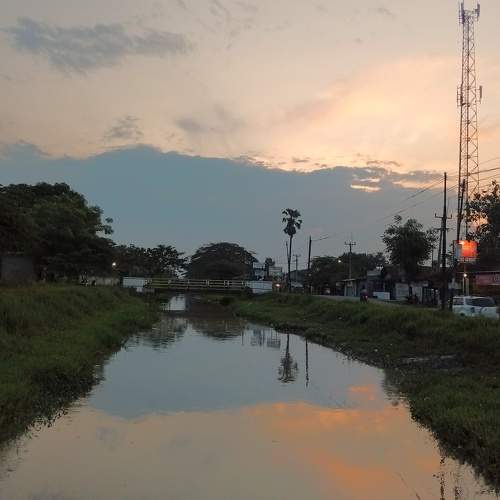 Photo #6248509
