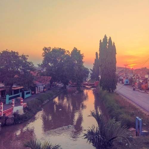 Photo #6248519