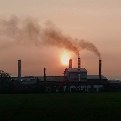 Photo #6248543