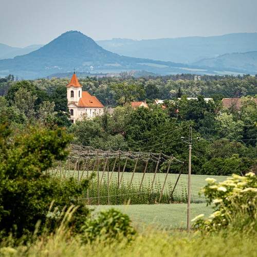 Photo #6248636