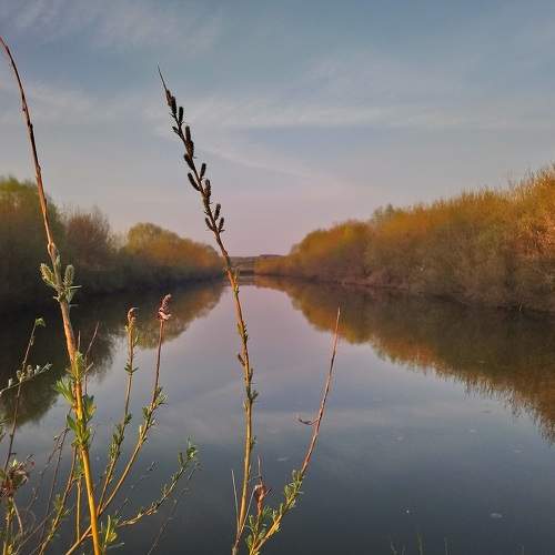 Photo #6248884