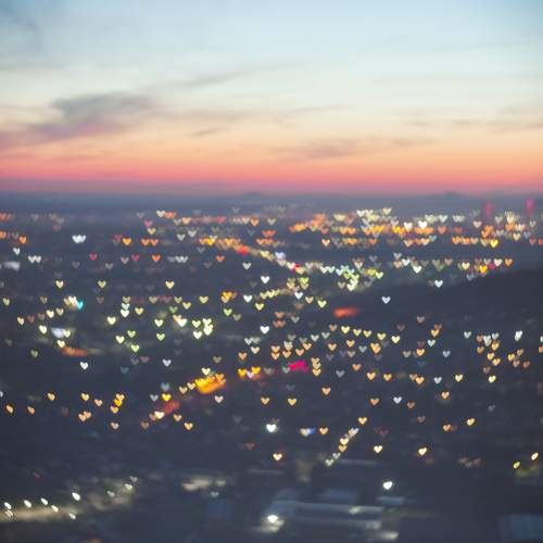 Photo #6248980