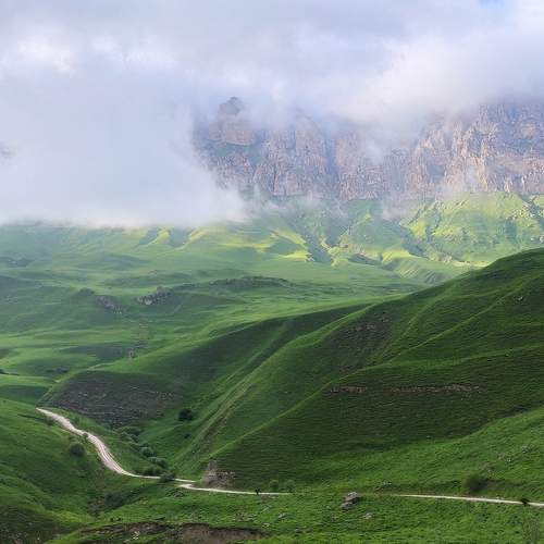 Photo #6249034