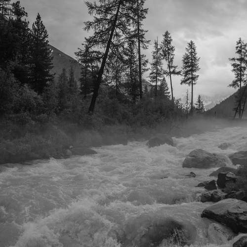 Photo #6249051