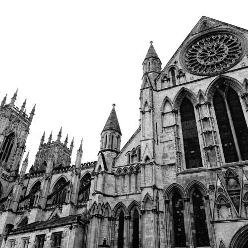 Photo #6250111