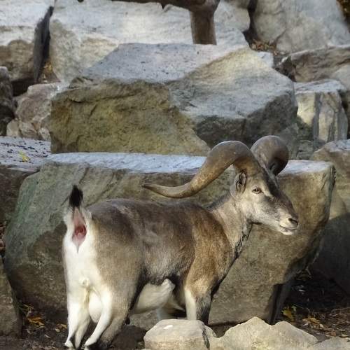 Photo #6250199