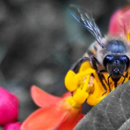 Photo #6250474