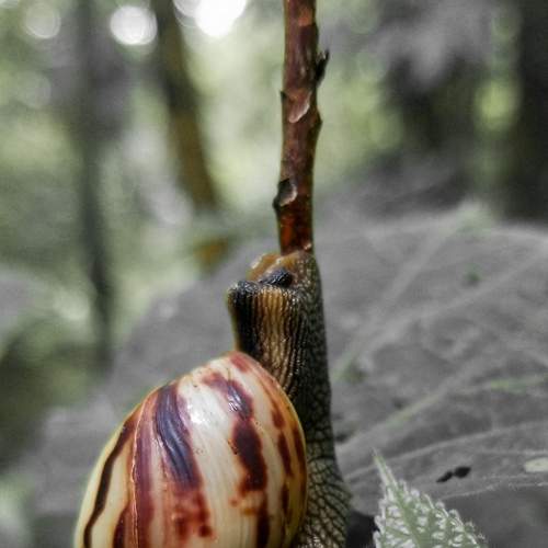 Photo #6250488