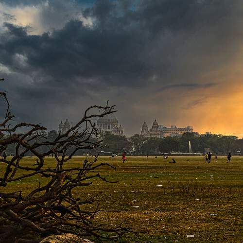 Photo #6250709