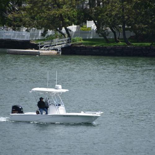 Photo #6250725