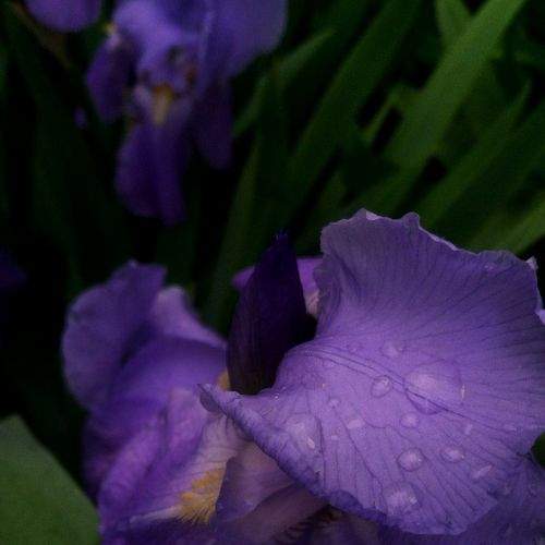 Photo #6251108