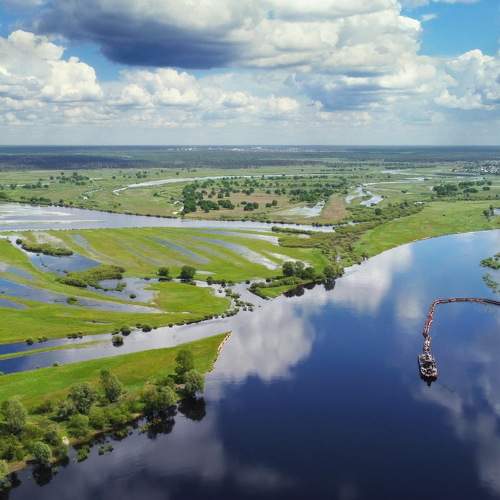 Photo #6251177