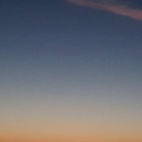 Photo #6251314