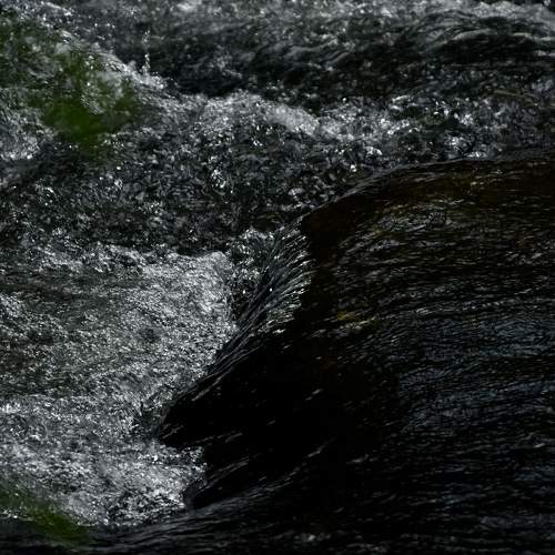 Photo #6251861