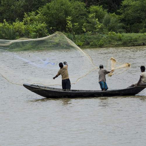 fishing