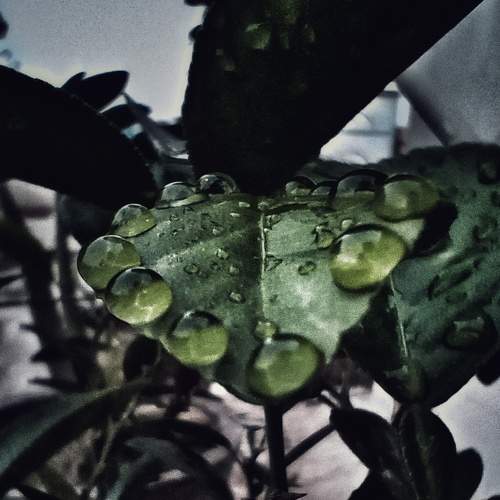Photo #6252757