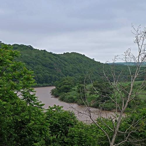 Photo #6252832