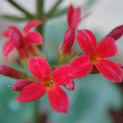 Photo #6253204