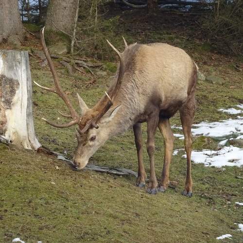 Photo #6253375