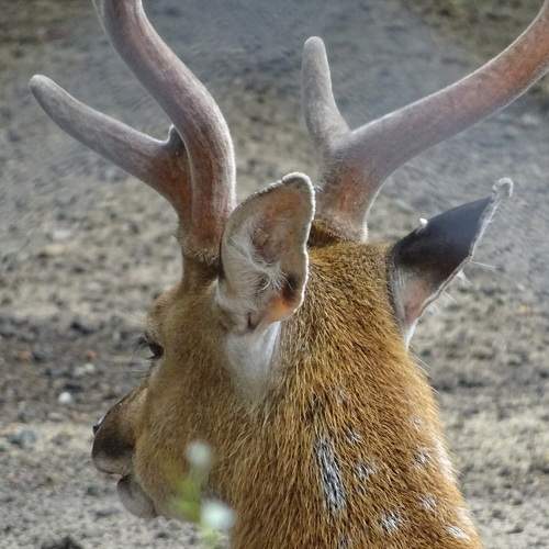 Photo #6253561