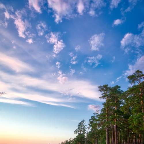 Photo #6254213