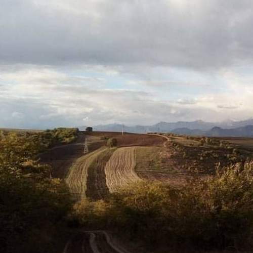 Photo #6254335