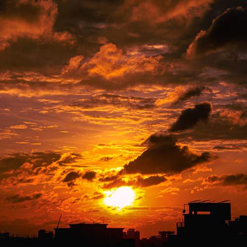 Photo #6254787