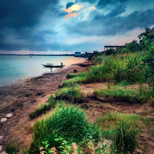 Photo #6255191