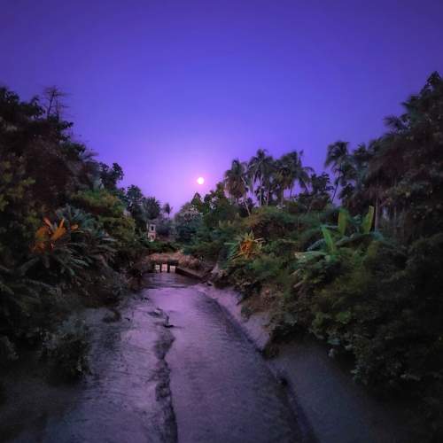 Photo #6255198