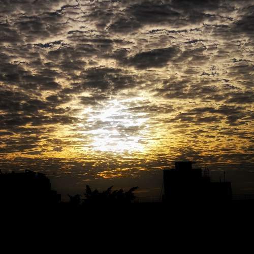 Photo #6255671