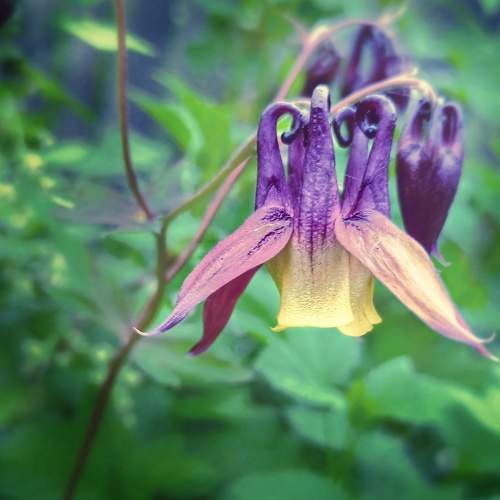 Photo #6255790
