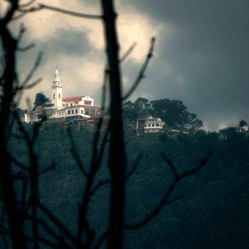 Photo #6255812