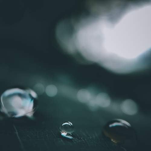 Photo #6255966