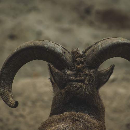 Photo #6255977