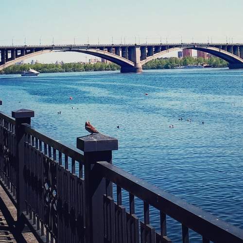Photo #6256012