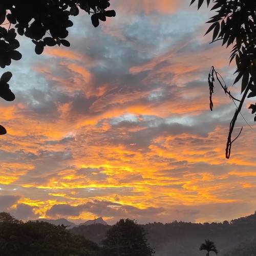Photo #6256243