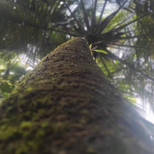 Photo #6256245