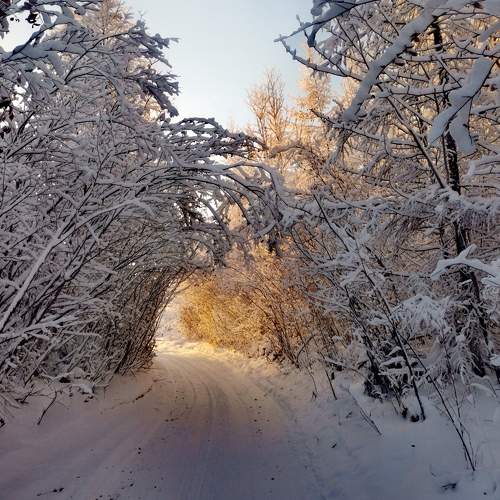 Photo #6256368