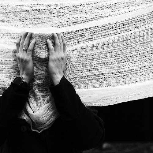 Photo #6256453
