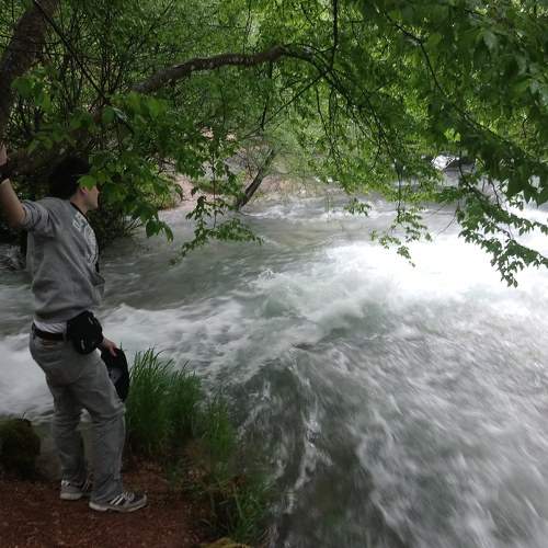 Photo #6256696