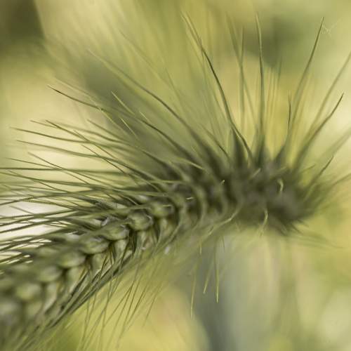 Photo #6256706
