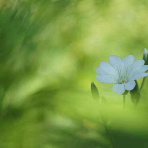 Photo #6256707
