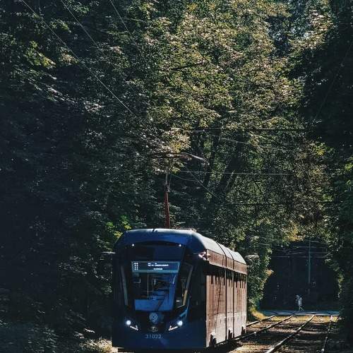 Photo #6256863
