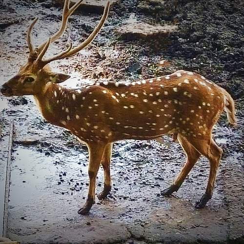 Photo #6257095