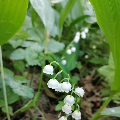 Photo #6257364