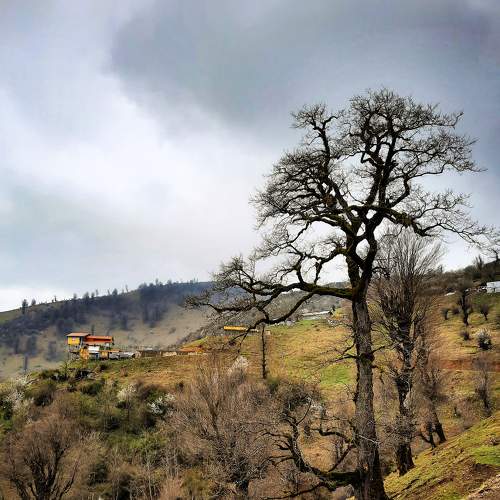 Nature of northern Iran