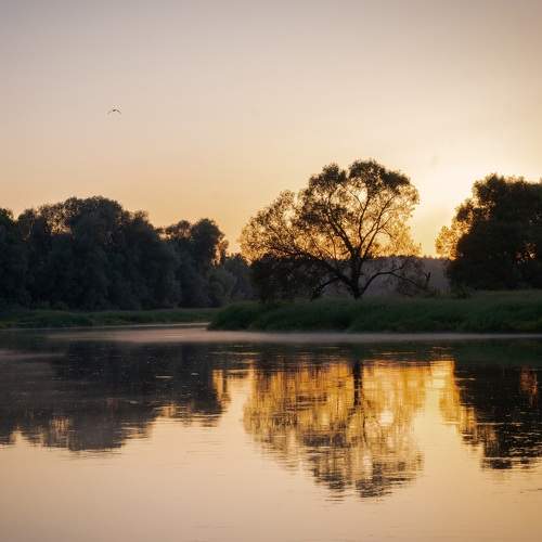 Photo #6257778