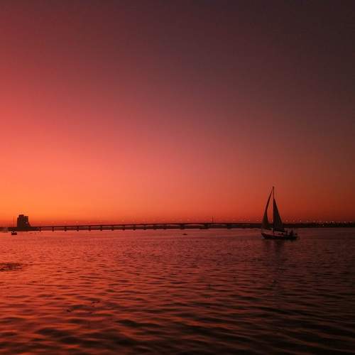 Photo #6257898